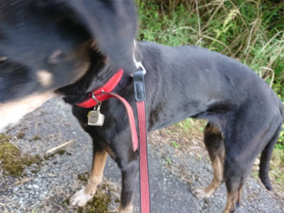 f:id:roukenhome-ann:20190524135126j:plain