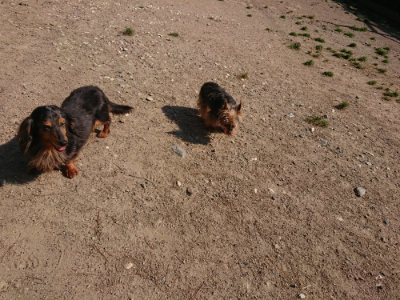 f:id:roukenhome-ann:20190524135232j:plain