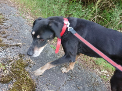 f:id:roukenhome-ann:20190524135240j:plain