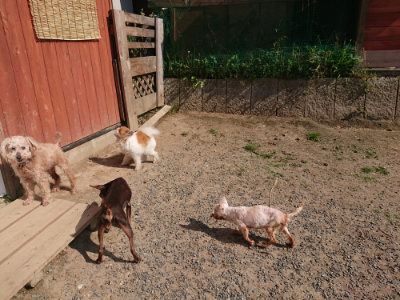 f:id:roukenhome-ann:20190524135325j:plain