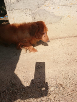 f:id:roukenhome-ann:20190524135331j:plain