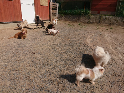f:id:roukenhome-ann:20190524141948j:plain