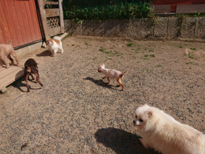 f:id:roukenhome-ann:20190524142001j:plain