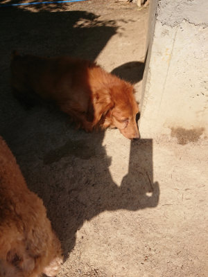 f:id:roukenhome-ann:20190524142006j:plain