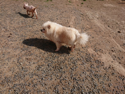f:id:roukenhome-ann:20190524142019j:plain