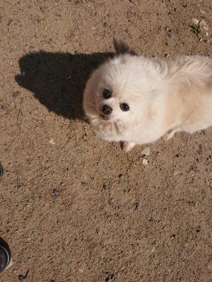 f:id:roukenhome-ann:20190524142034j:plain