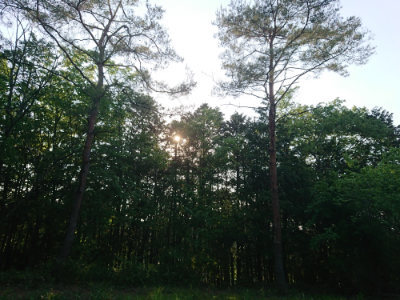 f:id:roukenhome-ann:20190524142107j:plain