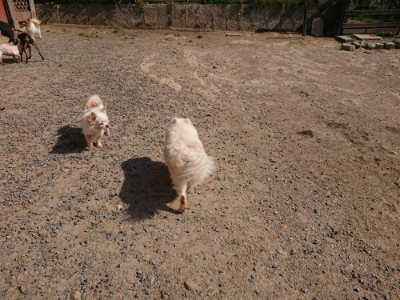f:id:roukenhome-ann:20190524142121j:plain