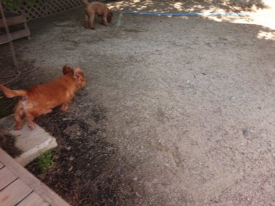 f:id:roukenhome-ann:20190524142125j:plain