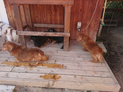 f:id:roukenhome-ann:20190524142155j:plain