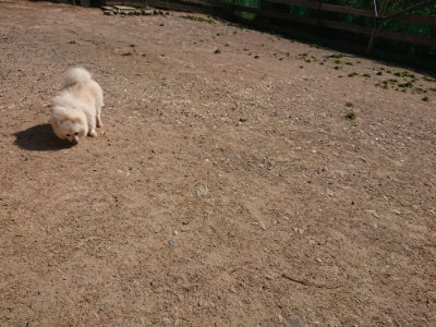 f:id:roukenhome-ann:20190524142204j:plain