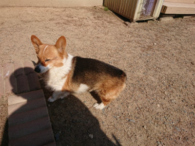 f:id:roukenhome-ann:20190524142345j:plain