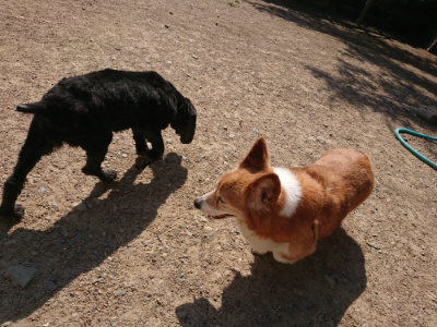 f:id:roukenhome-ann:20190524142403j:plain