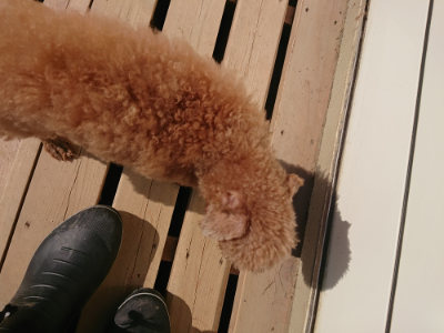 f:id:roukenhome-ann:20190524142610j:plain