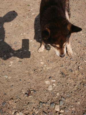 f:id:roukenhome-ann:20190524142629j:plain