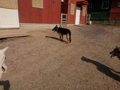 f:id:roukenhome-ann:20190524142634j:plain