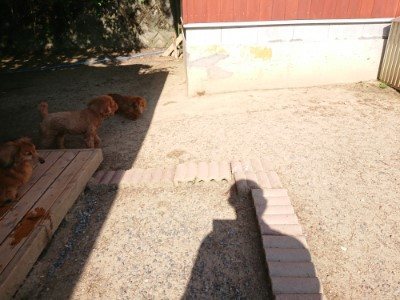 f:id:roukenhome-ann:20190524142648j:plain