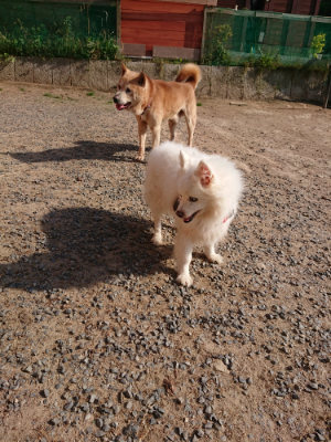 f:id:roukenhome-ann:20190524143042j:plain