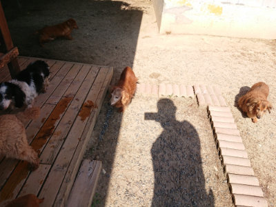 f:id:roukenhome-ann:20190524143046j:plain