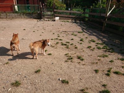 f:id:roukenhome-ann:20190524143104j:plain