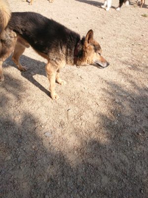 f:id:roukenhome-ann:20190524143223j:plain