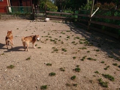 f:id:roukenhome-ann:20190524143227j:plain