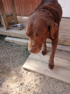f:id:roukenhome-ann:20190524143245j:plain