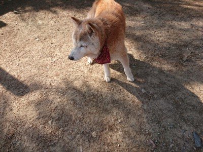 f:id:roukenhome-ann:20190524143256j:plain