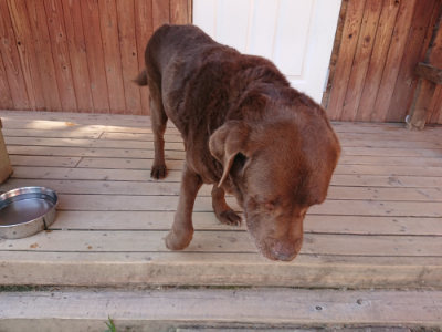 f:id:roukenhome-ann:20190524143301j:plain