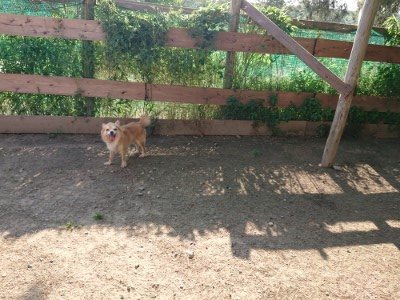 f:id:roukenhome-ann:20190524143408j:plain