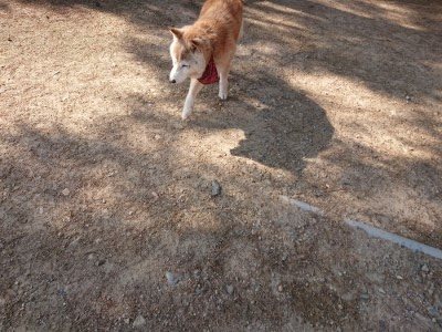 f:id:roukenhome-ann:20190524143432j:plain