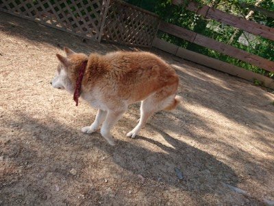 f:id:roukenhome-ann:20190524143448j:plain
