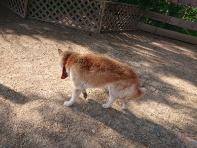 f:id:roukenhome-ann:20190524143453j:plain