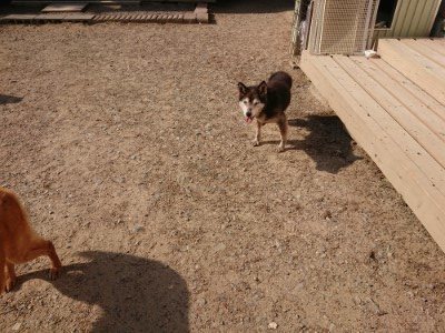 f:id:roukenhome-ann:20190524143458j:plain
