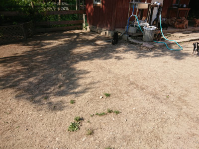 f:id:roukenhome-ann:20190524144310j:plain
