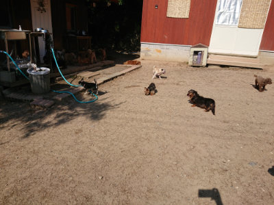 f:id:roukenhome-ann:20190524144345j:plain
