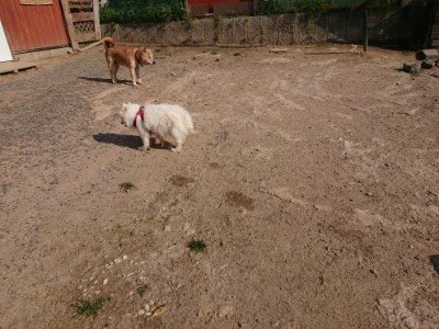 f:id:roukenhome-ann:20190524144351j:plain