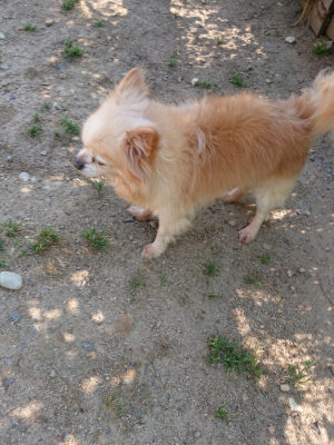 f:id:roukenhome-ann:20190524144433j:plain