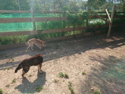 f:id:roukenhome-ann:20190524144459j:plain