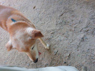 f:id:roukenhome-ann:20190524144546j:plain
