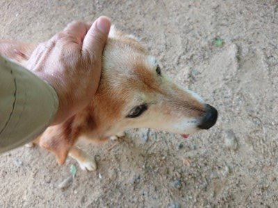 f:id:roukenhome-ann:20190524144556j:plain