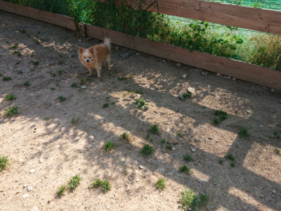 f:id:roukenhome-ann:20190524144643j:plain