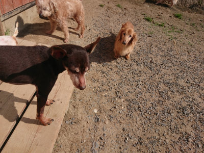 f:id:roukenhome-ann:20190524144704j:plain