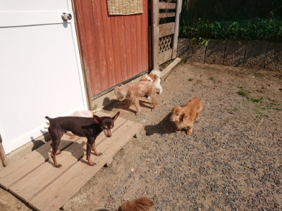 f:id:roukenhome-ann:20190524144715j:plain