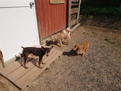 f:id:roukenhome-ann:20190524144758j:plain