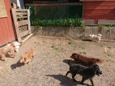 f:id:roukenhome-ann:20190524144817j:plain