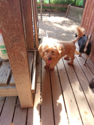 f:id:roukenhome-ann:20190524144841j:plain