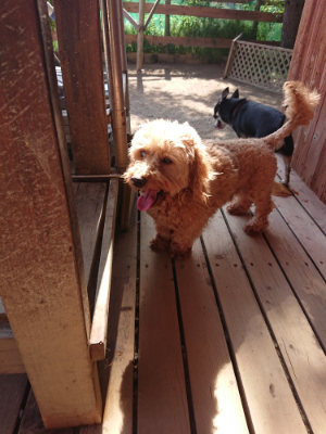 f:id:roukenhome-ann:20190524144847j:plain
