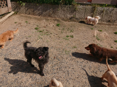 f:id:roukenhome-ann:20190524144852j:plain