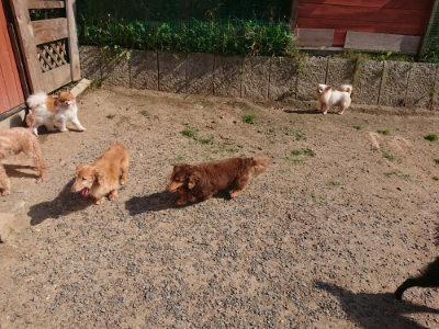 f:id:roukenhome-ann:20190524144857j:plain